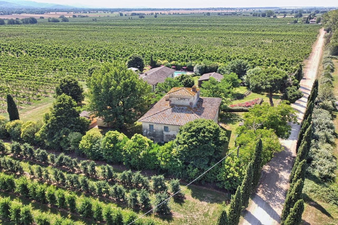 Foresteria Il Giardino Di Fontarronco Alberoro Exterior foto